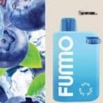 FUMMO SPIN 10000 PUFFS DISPOSABLE BLUEBERRY ICE
