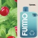 FUMMO SPIN 10000 PUFFS DISPOSABLE STRAWBERRY CANBERRY MINT