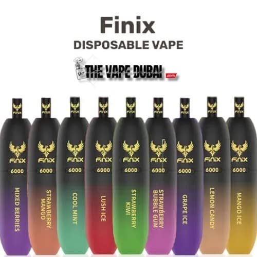 Finix 6000 Puffs Disposable Vape Blueberry Ice Vape Shop Near Me Disposable Vape Vape Uae 16