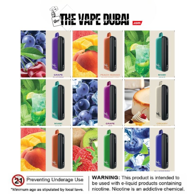 New Fummo Indic 12000 Puffs Disposable Vape in Dubai