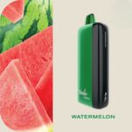 New Fummo Indic 12000 Puffs Watermelon Disposable Vape in Dubai _ Fummo vape 12000 puffs price near me _ Fummo Vape price _ Fummo Vape 12000 Puffs _ Fummo King _ Fummo vape 12000 puffs flavors price _ Fumo King Vape price