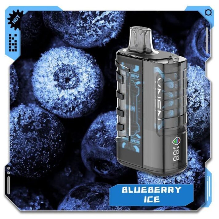 New VNSN Ghost 15000 Puffs Blueberry Ice Disposable Vape in Dubai _ vape shop in sharjah