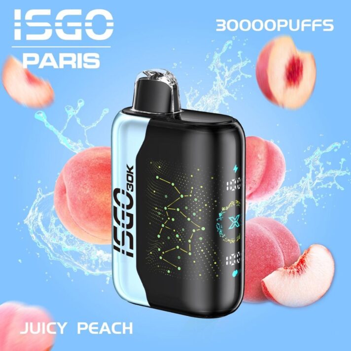 New Isgo Paris X 30000 Puffs Disposable Vape In Dubai Vape Shop Near Me Disposable Vape Vape Uae 4