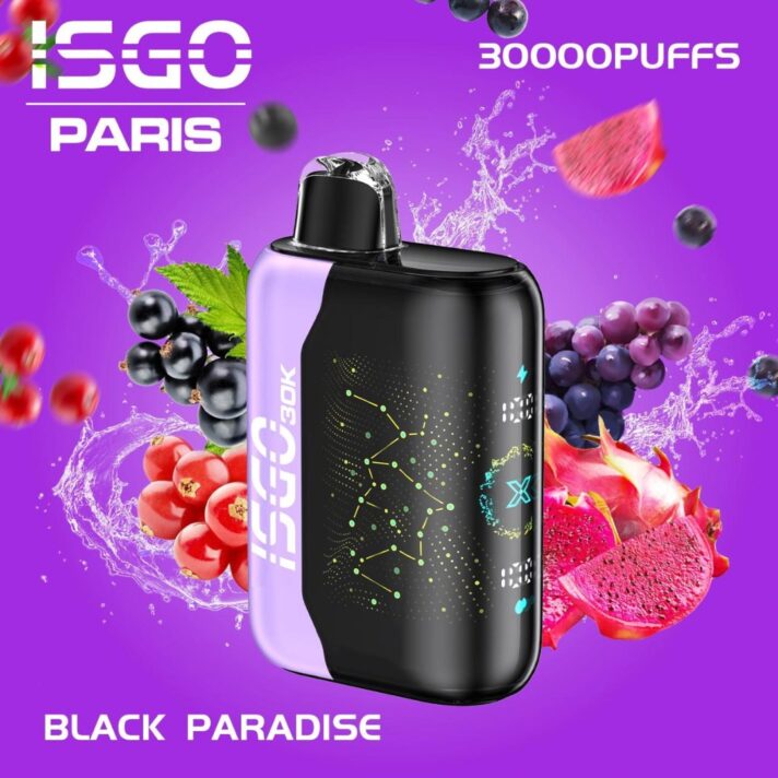 New Isgo Paris X 30000 Puffs Disposable Vape In Dubai Vape Shop Near Me Disposable Vape Vape Uae
