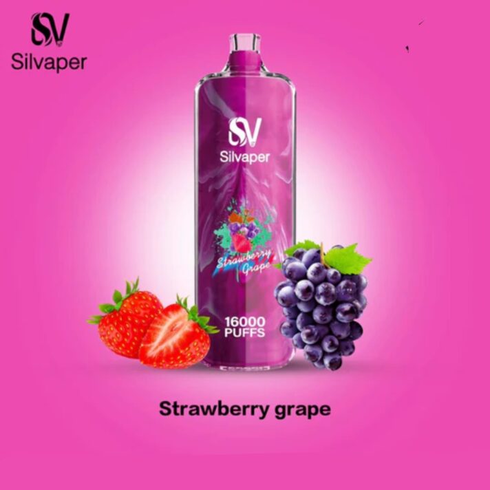 Silvaper Rocket Shisha 16000 Puffs Disposable Vape Dtl Vape Shop Near Me Disposable Vape Vape Uae 11
