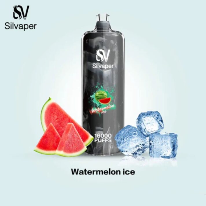 Silvaper Rocket Shisha 16000 Puffs Disposable Vape Dtl Vape Shop Near Me Disposable Vape Vape Uae 19
