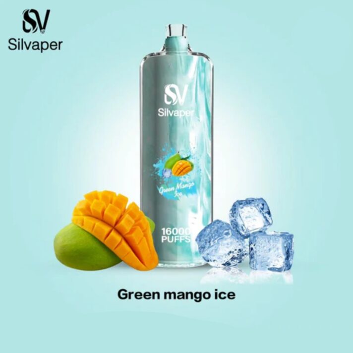 Silvaper Rocket Shisha 16000 Puffs Disposable Vape Dtl Vape Shop Near Me Disposable Vape Vape Uae 6