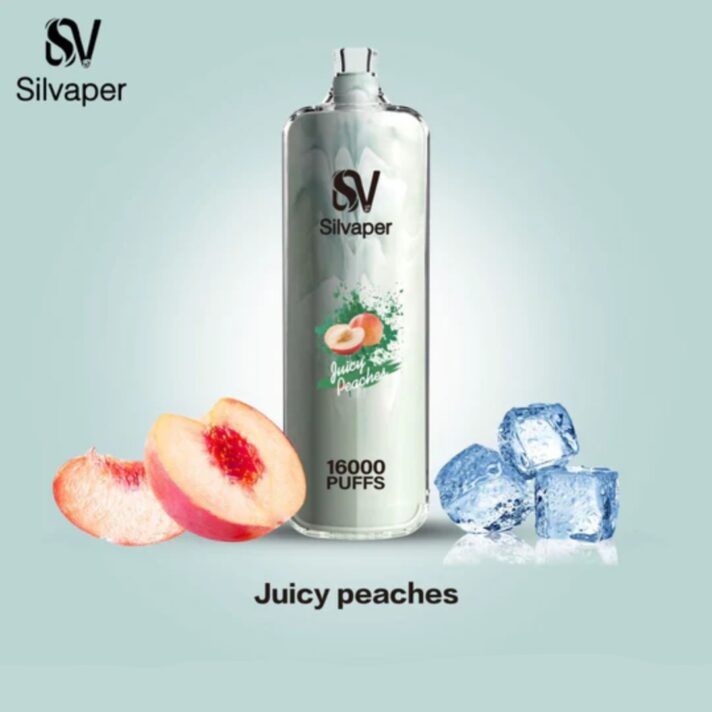 Silvaper Rocket Shisha 16000 Puffs Disposable Vape Dtl Vape Shop Near Me Disposable Vape Vape Uae 7