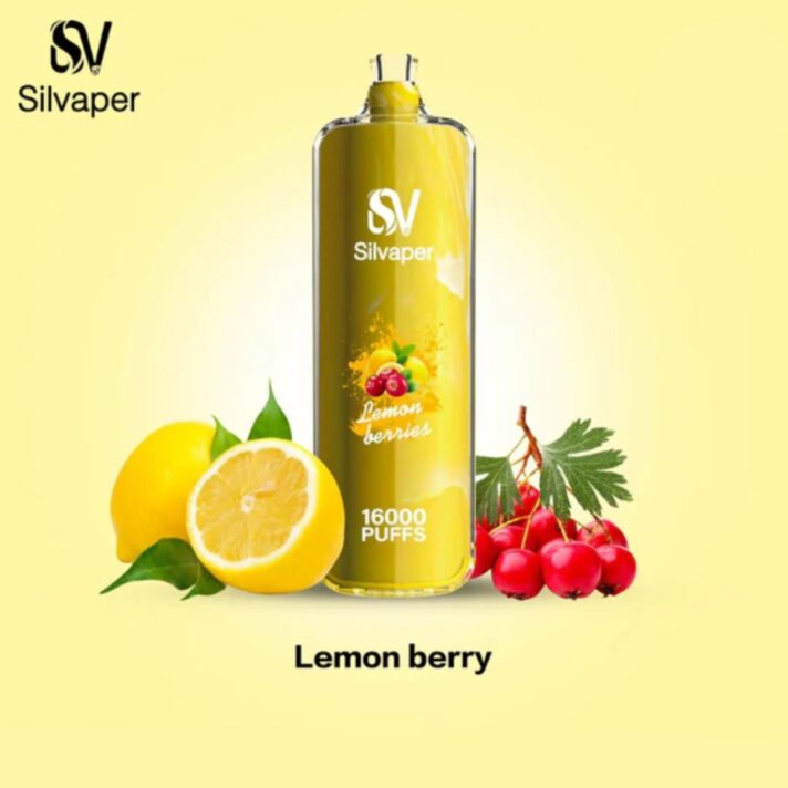 Silvaper Rocket Shisha 16000 Puffs Disposable Vape Dtl Vape Shop Near Me Disposable Vape Vape Uae 9